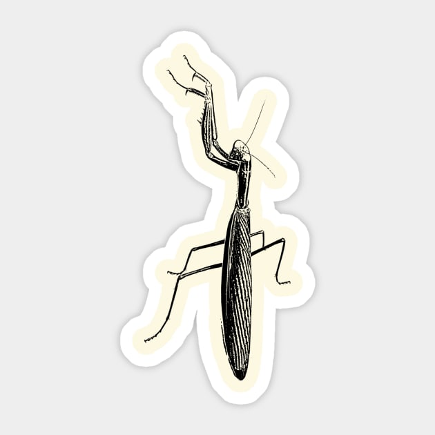 Praying Mantis Sticker by Guardi